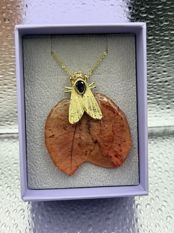 Anillo Nacar Luna 2