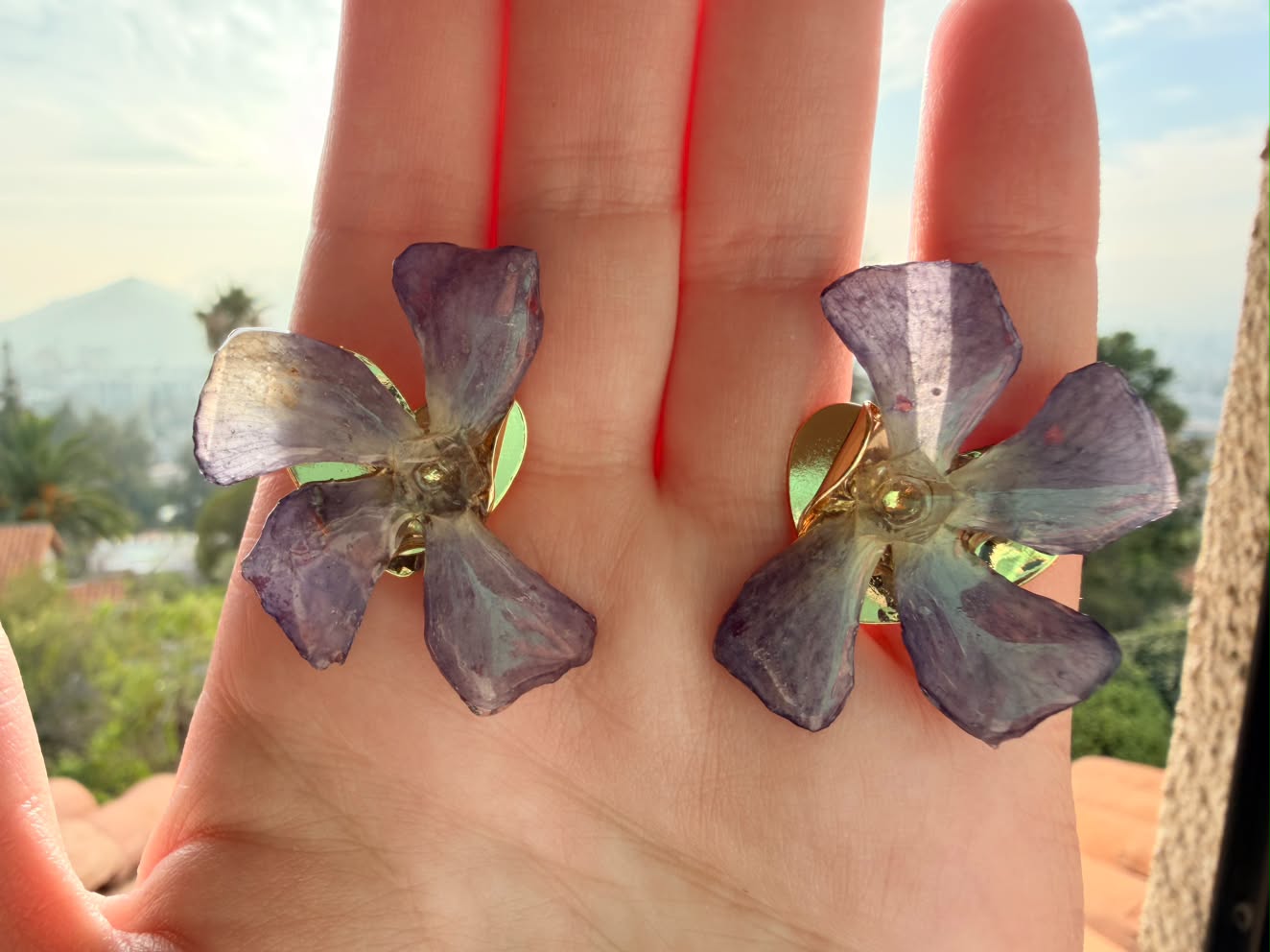 Aros Vincapervinca 3
